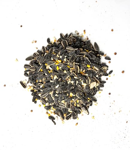 No Millet Special Wild Bird Seed – 40 lb Bulk Sunflower & Grain Bird Feeder Blend