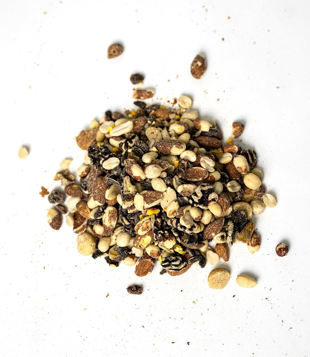 Woodpecker Bird Seed – 5 lb Nut & Sunflower Seed Blend