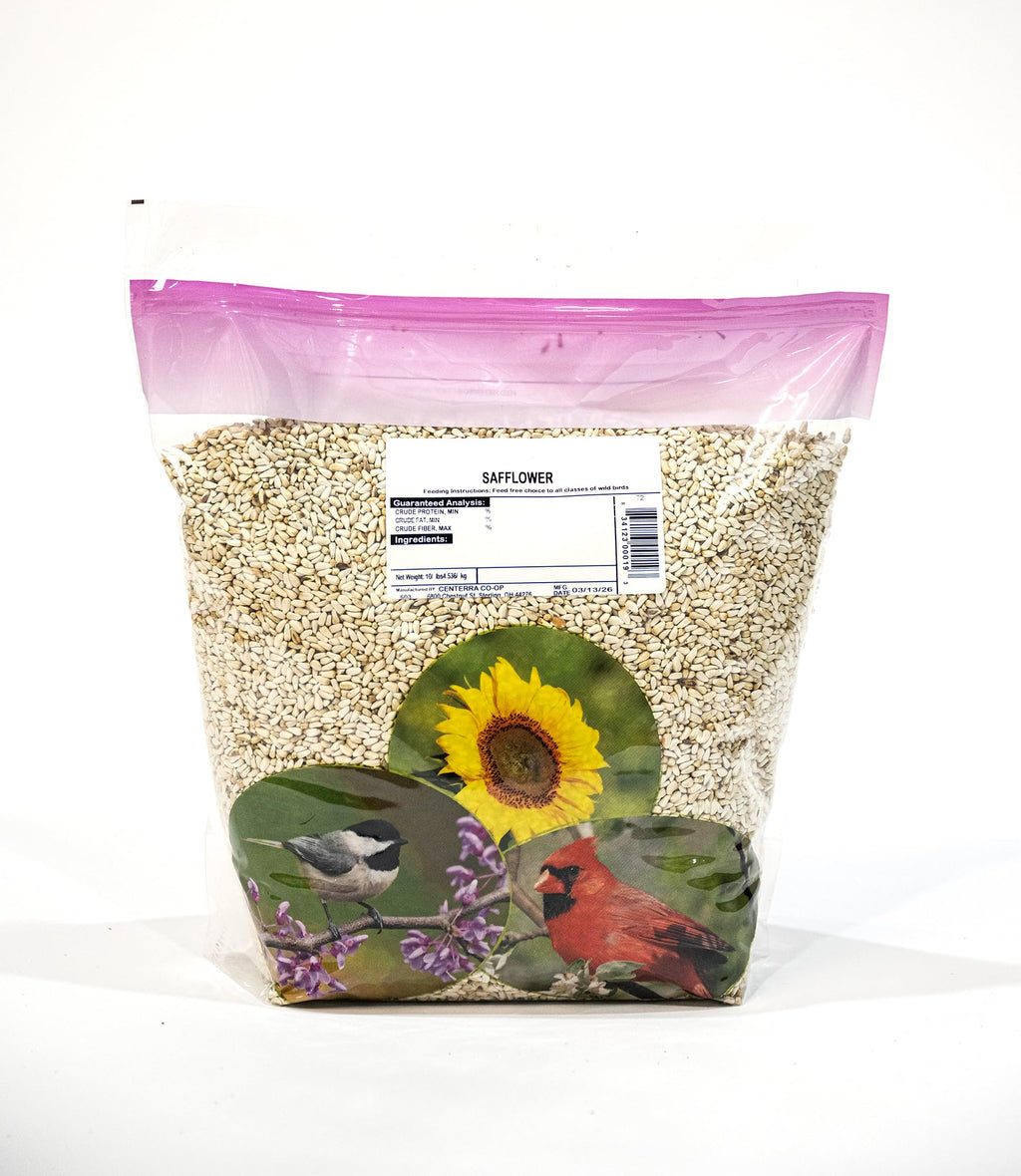 Safflower Bird Seed – 5 lb Premium Cardinal Favorite Seed