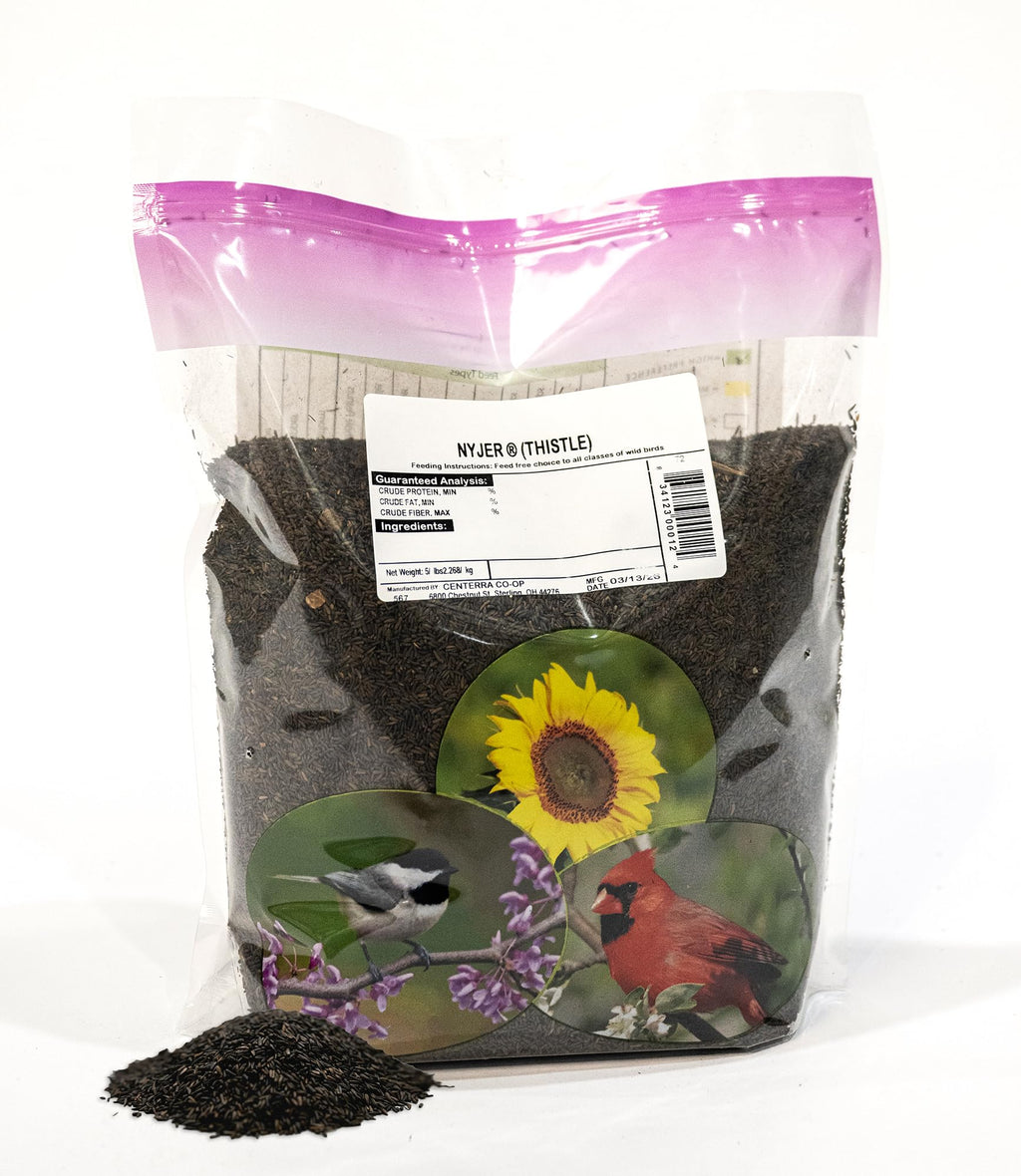 Nyjer® Thistle Seed – 5 lb Premium Finch Bird Food