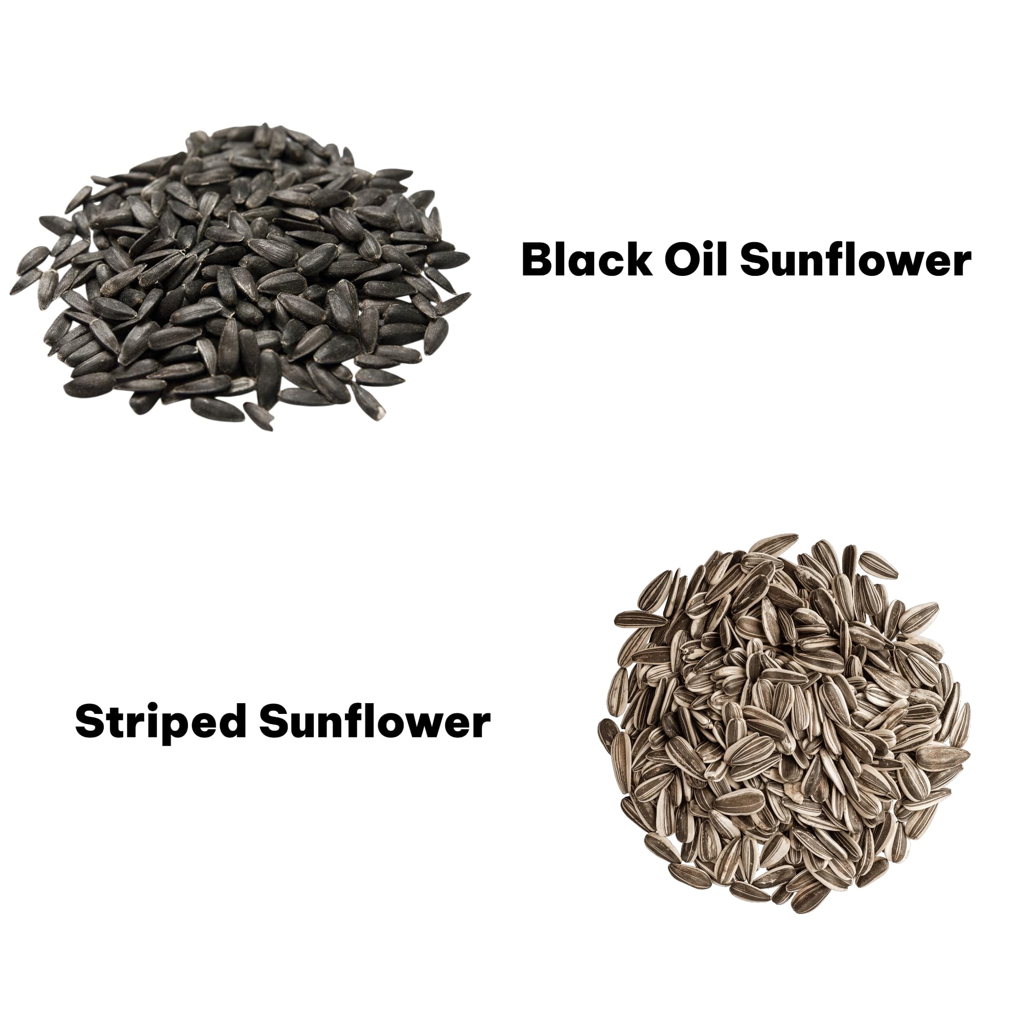 Sommer's Wild Bird Food Product Variations