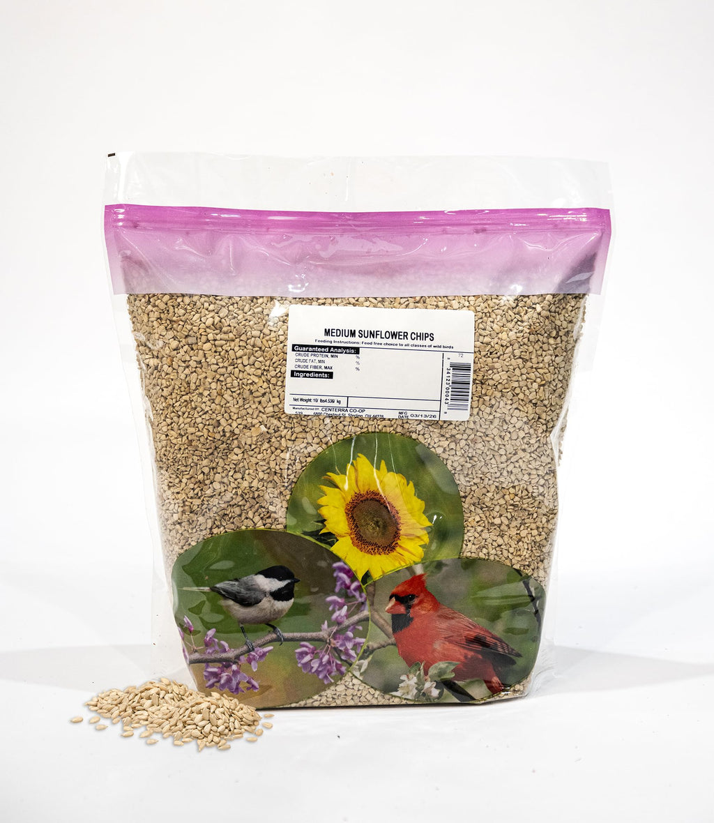 Medium Sunflower Chips – 5 lb Hulled Sunflower Kernel Bird Feeder Mix