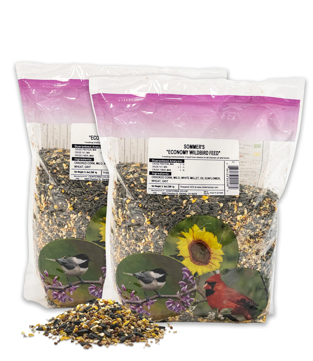 Economy Blend Wild Bird Seed – 2 Pack (5 lb Bags) Value Bird Feeder Mix with Sunflower, Millet & Cracked Corn