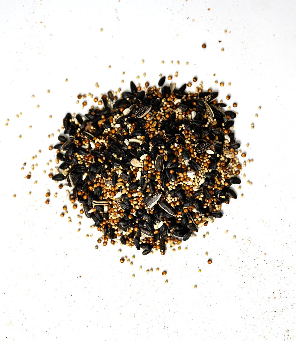Deluxe with Fruit Wild Bird Seed – 50 lb Bulk Sunflower Blend with Real Fruit Pieces