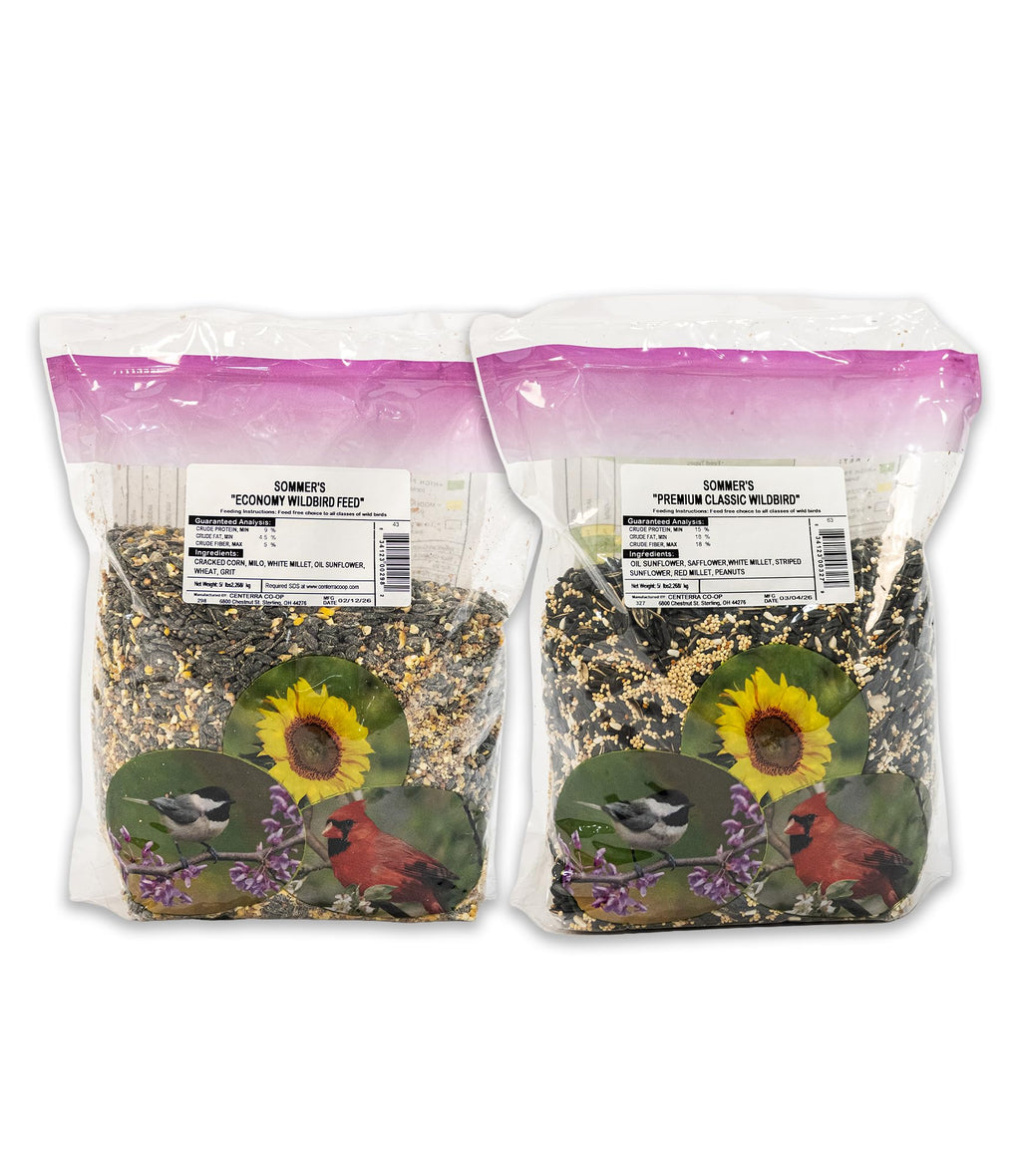 Backyard Essentials Wild Bird Seed Bundle – 2 Pack (5 lb Bags) Economy Blend & Premium Classic
