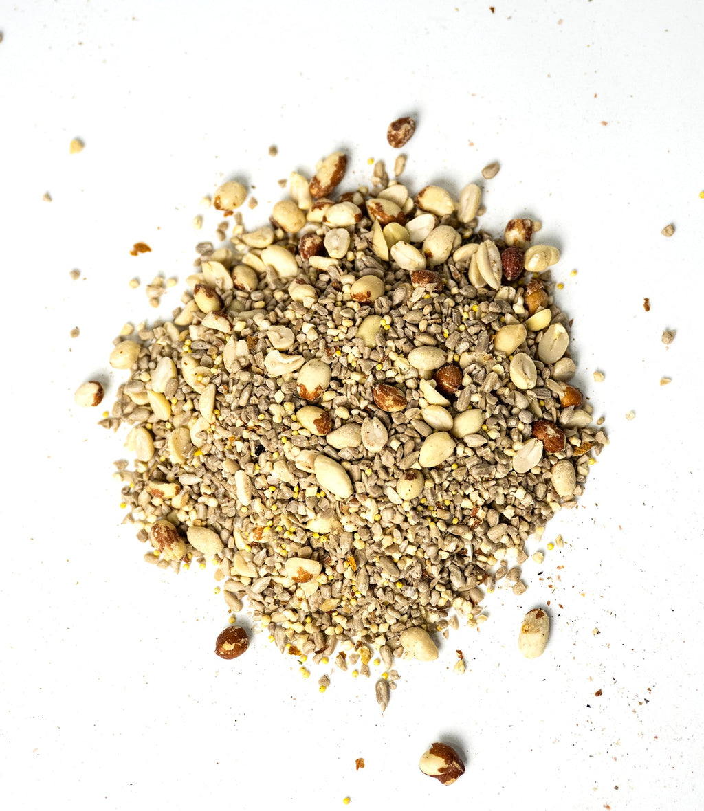No Mess Wild Bird Seed – 2 Pack (5 lb Bags) Hull Free Sunflower Chip & Peanut Bird Feeder Blend