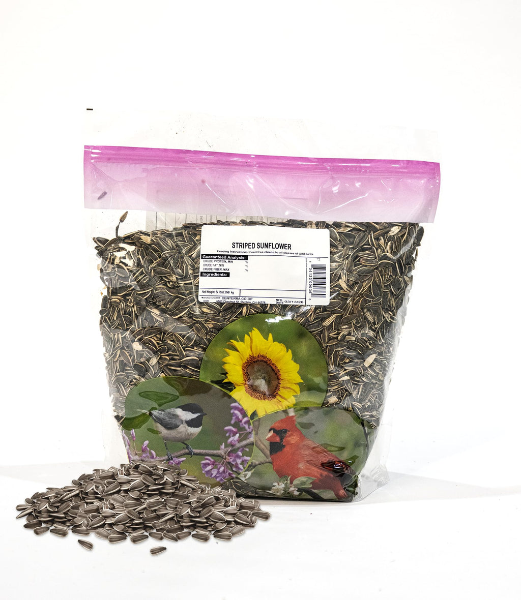 Striped Sunflower Wild Bird Seed – 5 lb Large Striped Sunflower Seeds