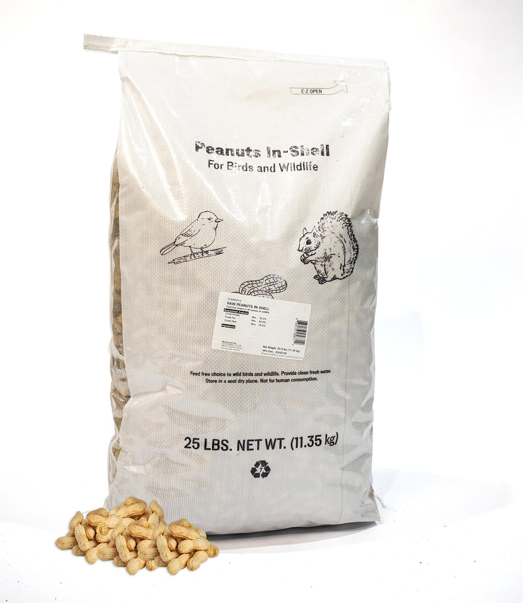 Peanuts in Shell Bulk Bird & Wildlife Feed – 25 lb Whole Natural Peanuts