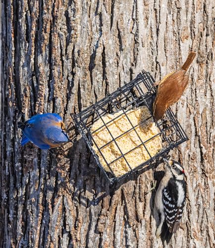 Sommer's Wild Bird Food Product Variations