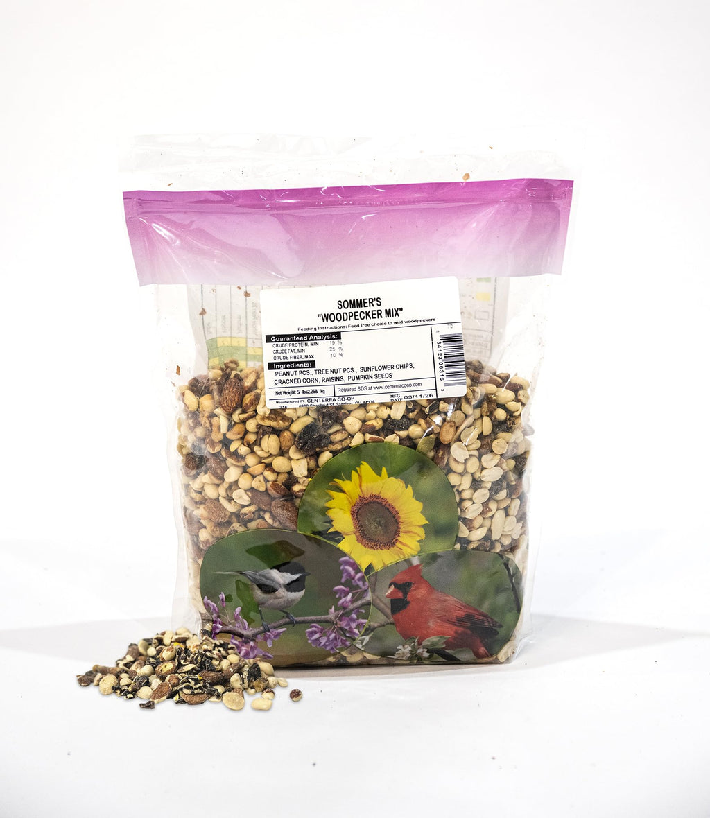 Woodpecker Bird Seed – 5 lb Nut & Sunflower Seed Blend