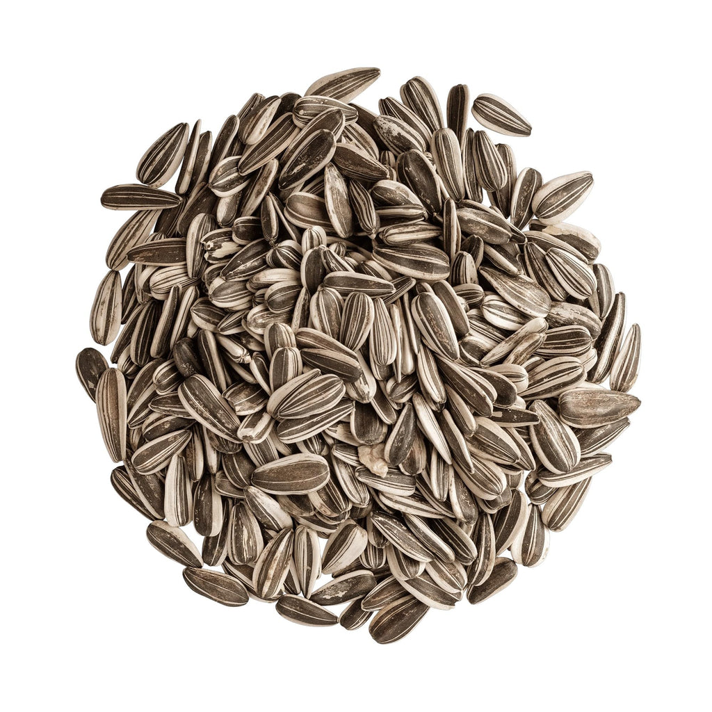 Striped Sunflower Bulk Wild Bird Seed – 25 lb Large Striped Sunflower Seeds