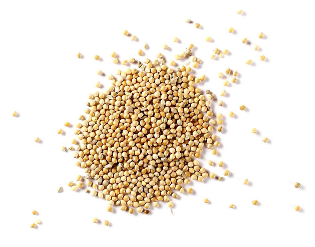 Sommer's Wild Bird Food Product Variations