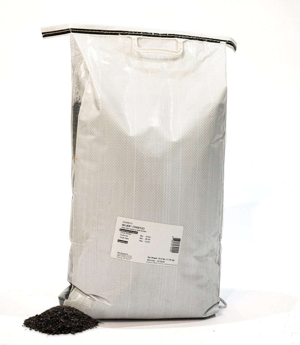 Nyjer® Thistle Bulk Finch Seed – 25 lb Premium Finch Bird Feeder Mix