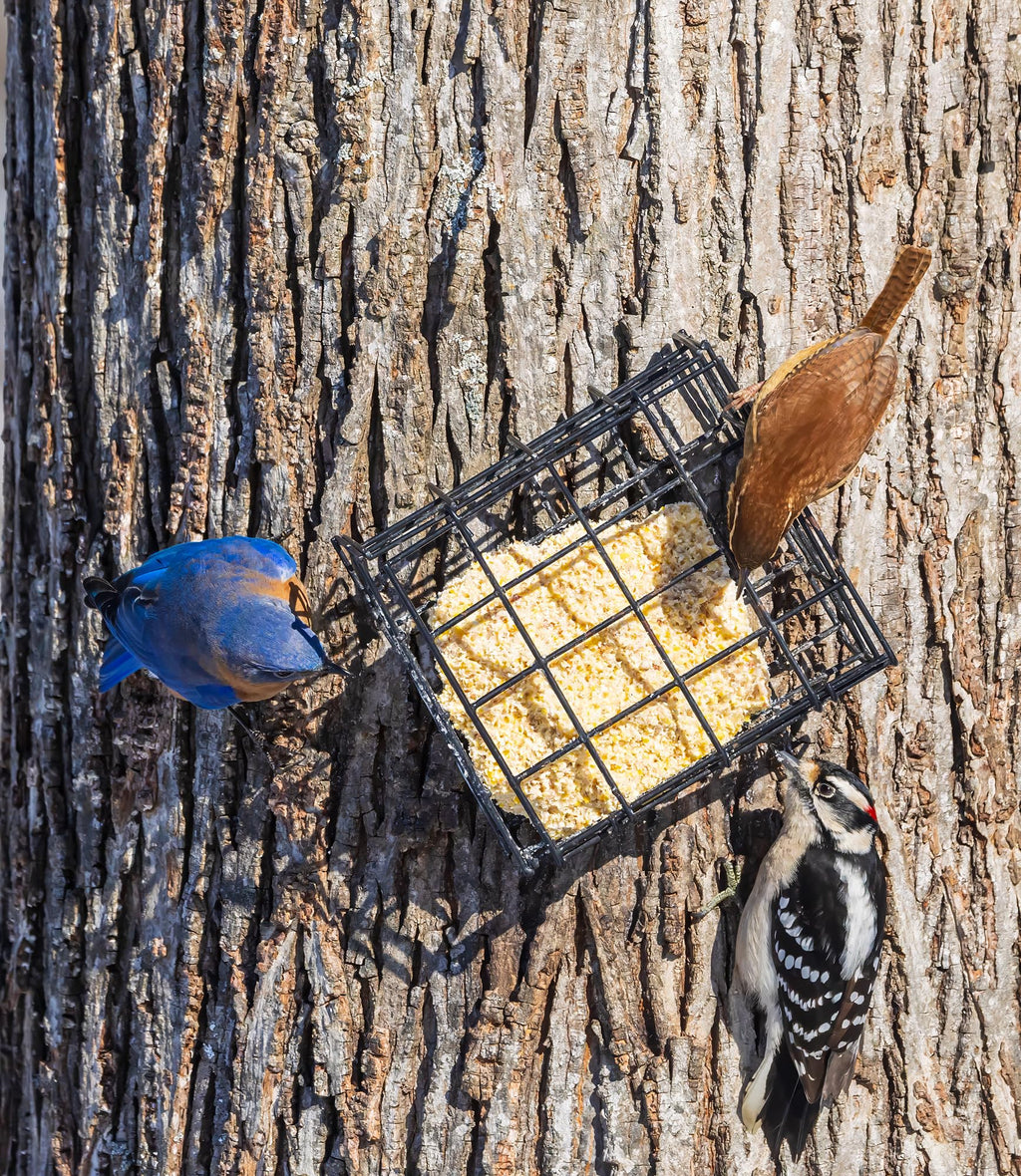 Sommer's Wild Bird Food Product Variations