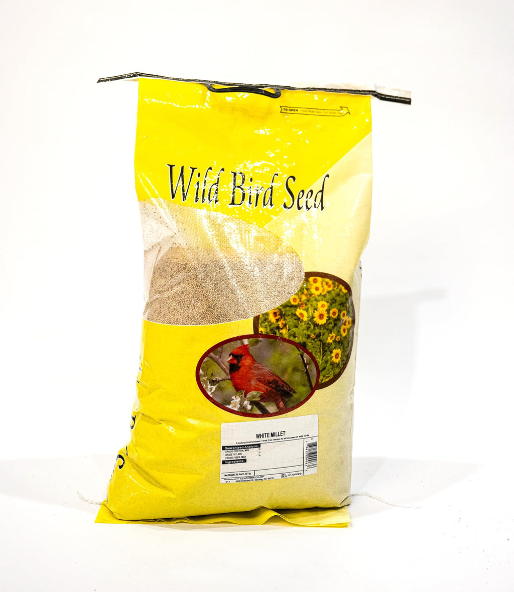 White Millet Bulk Bird Seed – 25 lb Clean Small Grain Bird Seed
