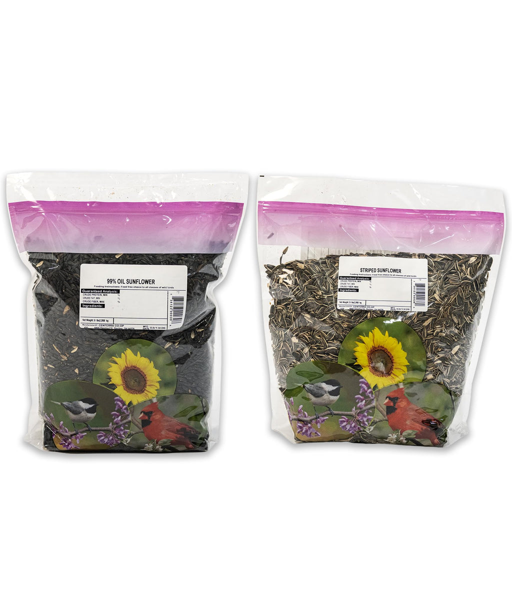Sunflower Power Wild Bird Seed Bundle – 2 Pack (5 lb Bags) High Oil & Striped Sunflower Seeds
