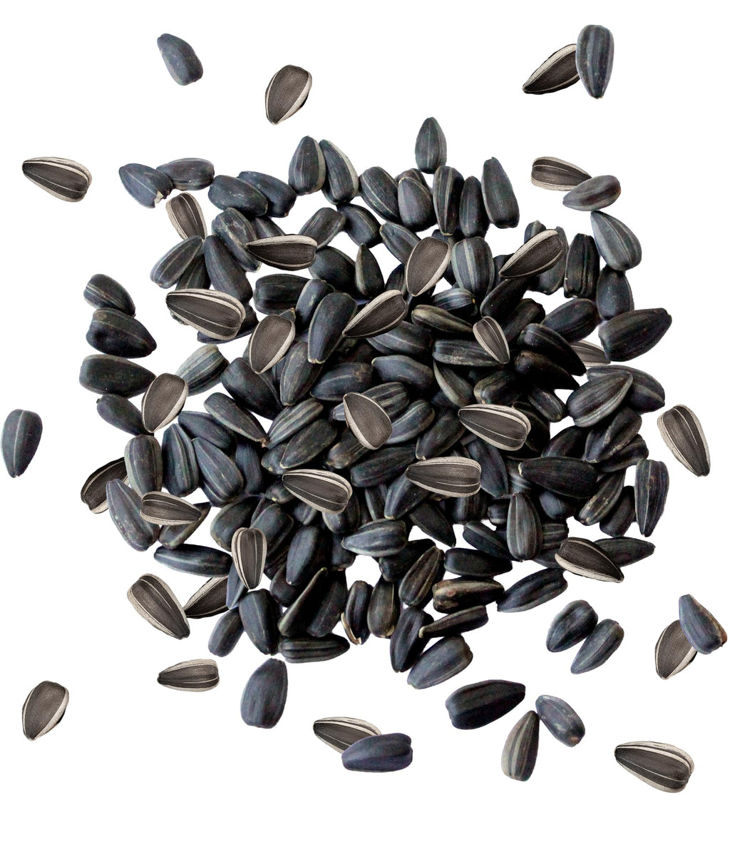 Sommer's Wild Bird Food Product Variations