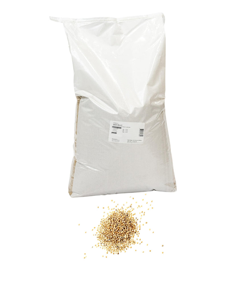 White Millet Bird Seed – 50 lb Bulk Clean Small Grain Bird Feed